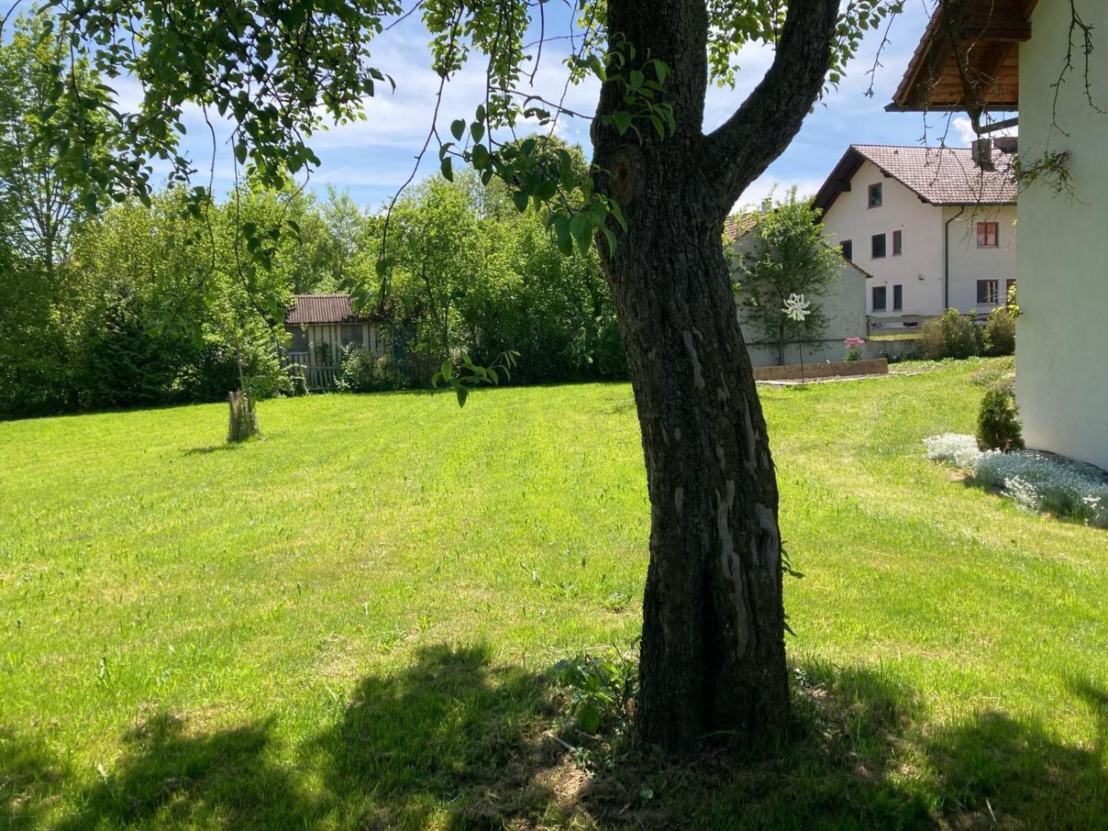 Ruhige Ferienwohnung Inklusive Garten Souterrain - Neu Renoviert Lachen Zewnętrze zdjęcie
